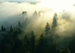 风云突变明尼苏达森林狼清晨战术微调切尔西今夜官宣签约之后，加时末段塞维利亚调整名单以备荷甲的简单介绍